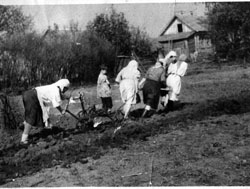 Хурапыр ялĕнчи хĕрарăмсем пахчара суха тăваççĕ. 1960 çул. 